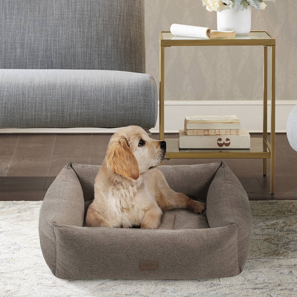 MidWest Homes for Pets Universal Crate Casters & Reviews Wayfair